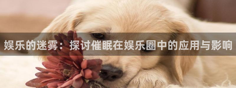 jjb竞技宝app