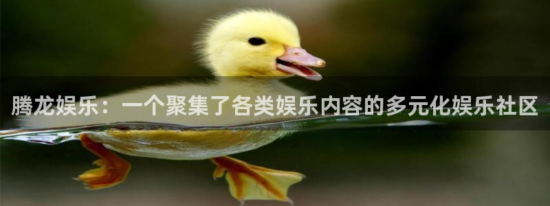 jjb竞技宝(中国)
