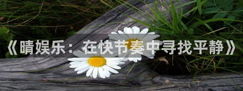 jjb竞技宝官网