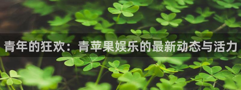 jjb竞技宝