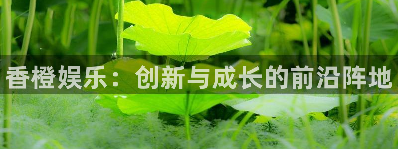 jjb竞技宝
