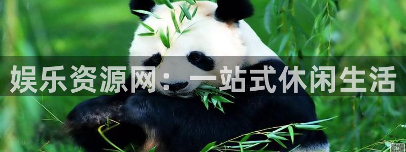 jjb竞技宝(中国)