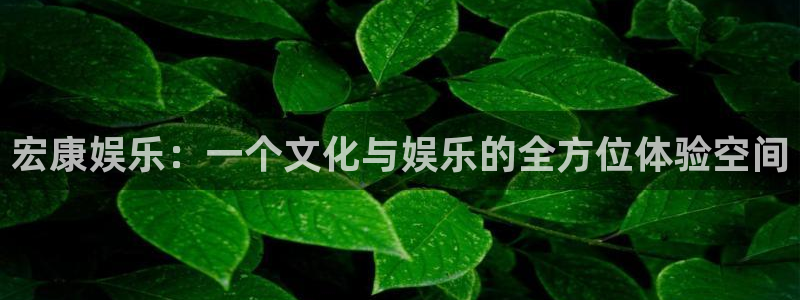 jjb竞技宝app