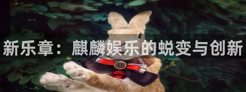 jjb竞技宝