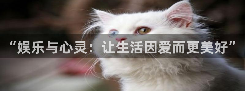 jjb竞技宝